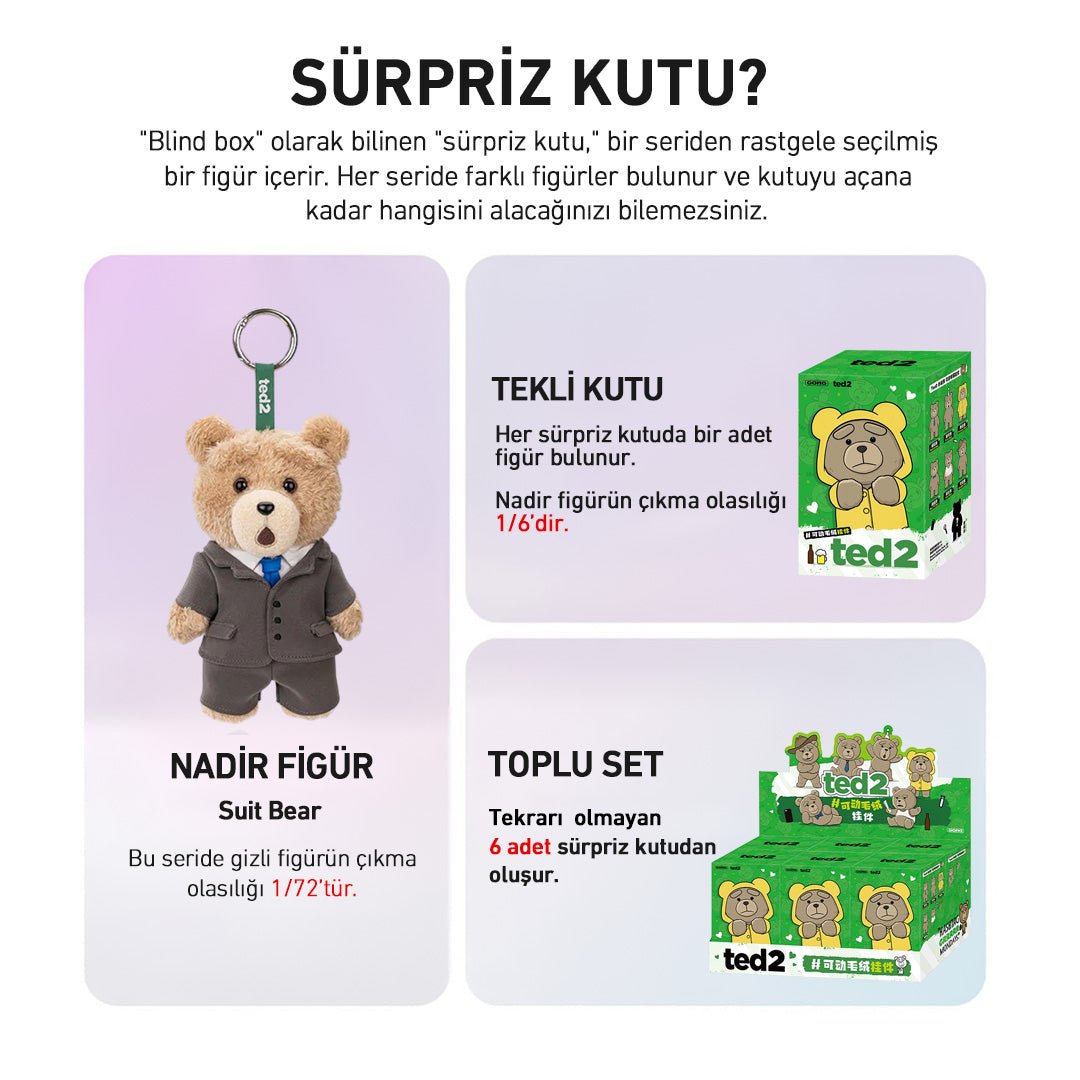POP MART TED2 TEDDY BEAR ACTION SÜRPRİZ KUTU SERİSİ