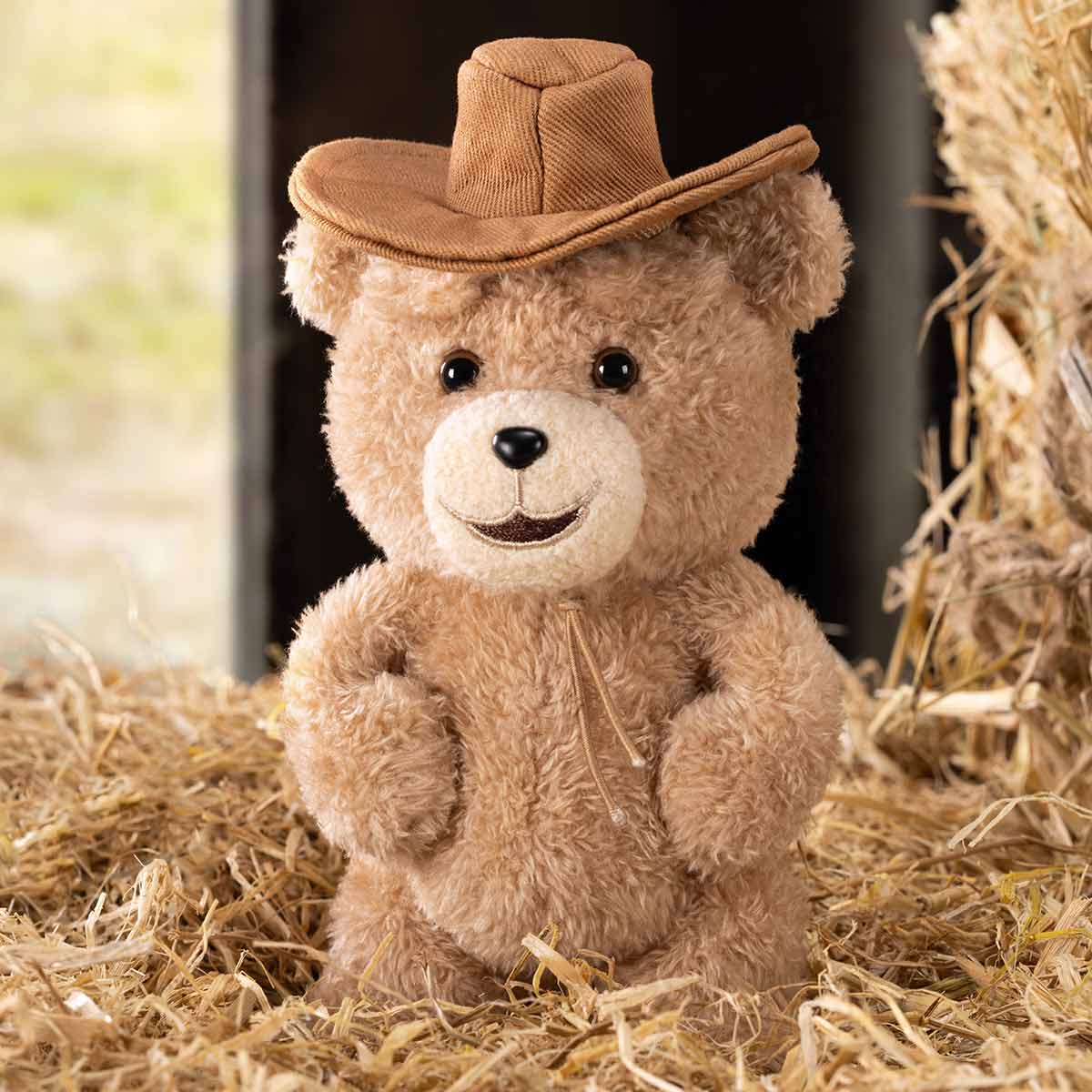 POP MART TED2 TEDDY BEAR ACTION SÜRPRİZ KUTU SERİSİ