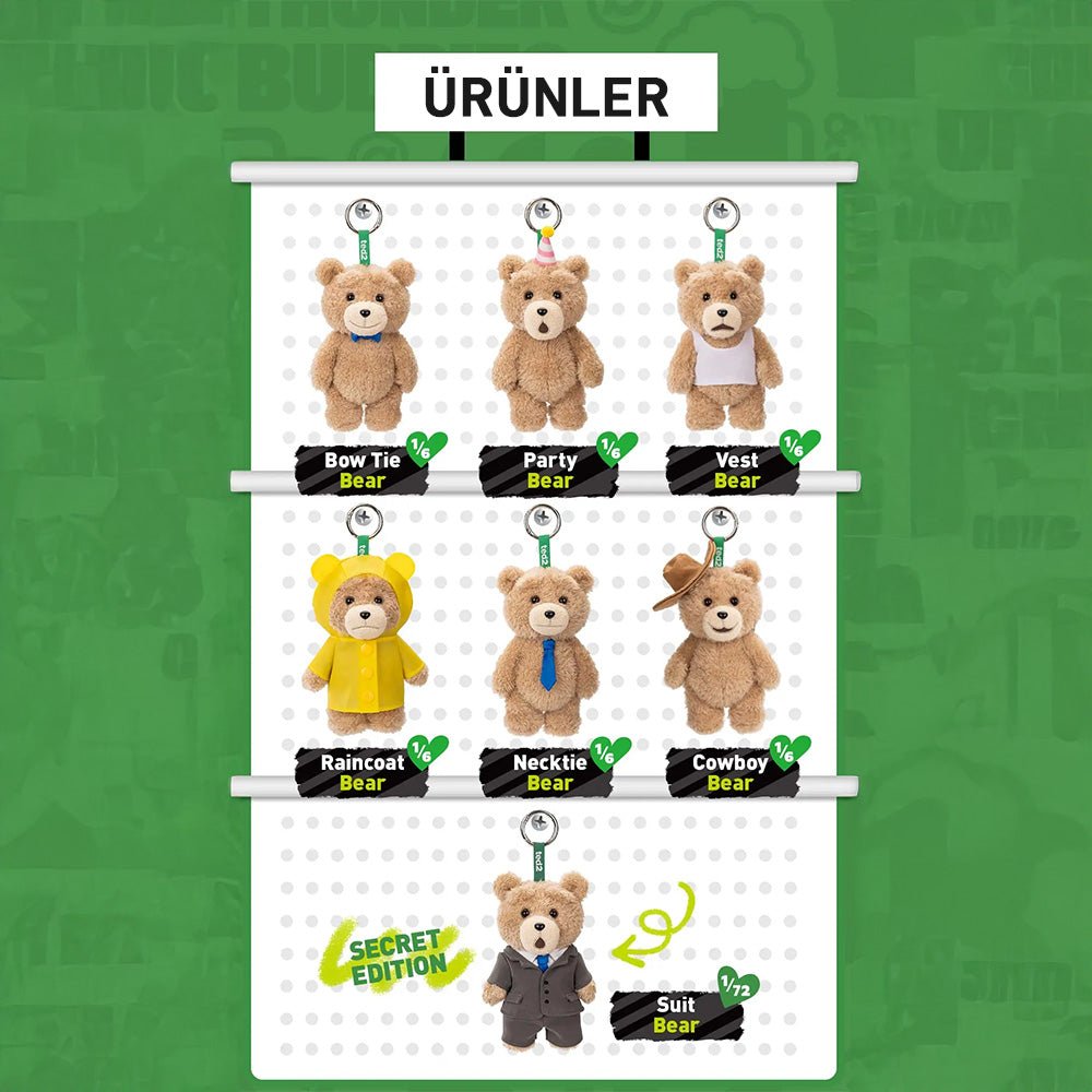 POP MART TED2 TEDDY BEAR ACTION SÜRPRİZ KUTU SERİSİ