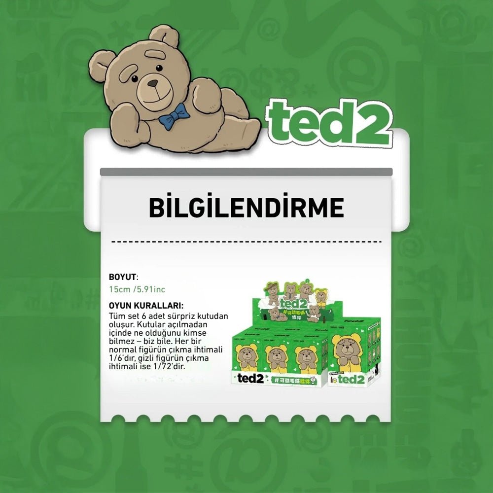 POP MART TED2 TEDDY BEAR ACTION SÜRPRİZ KUTU SERİSİ