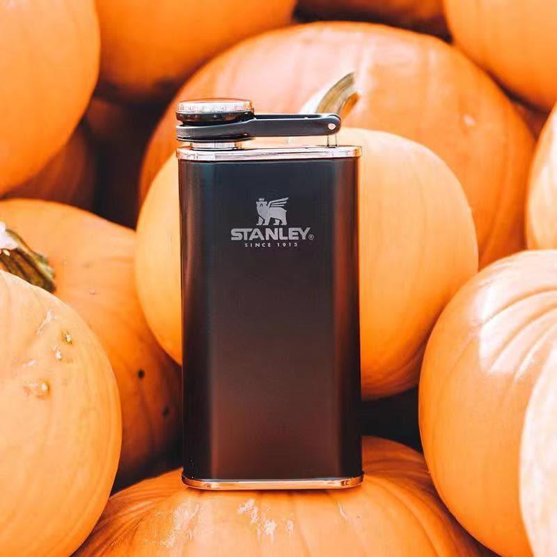 STANLEY ADVENTURE CEP ÇELİK MATARA  0.23L